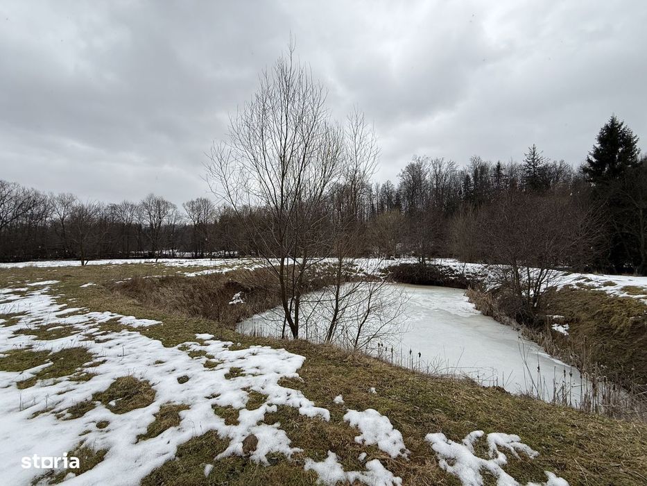 Teren extravilan | Horodnic De Sus | 3600MP