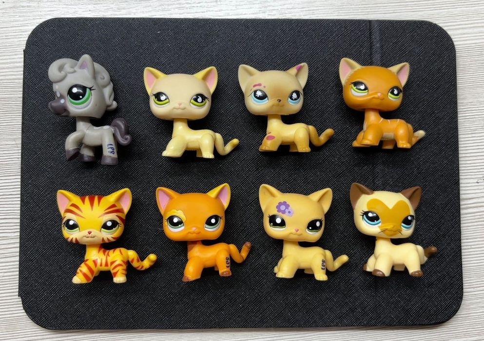 Lps Shorthair Littlest Pet Shop Olx Littlest Pet Shop Cat LOT