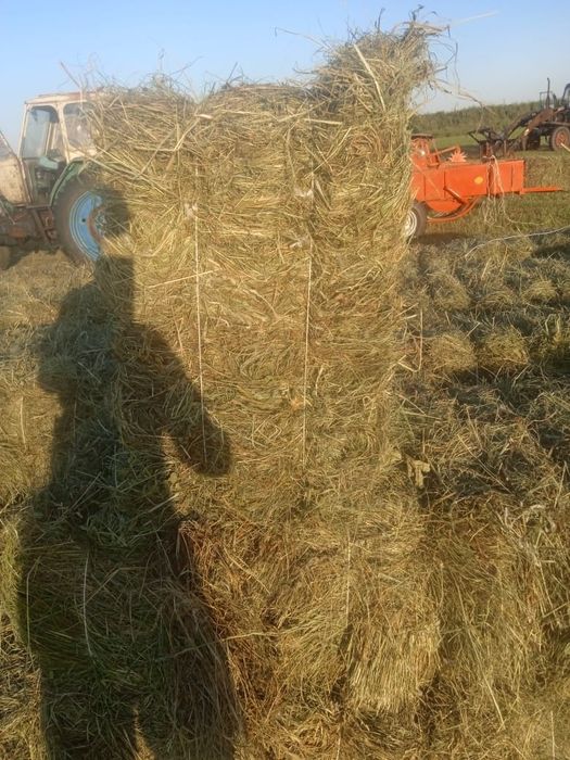 Продам Сено в тюках