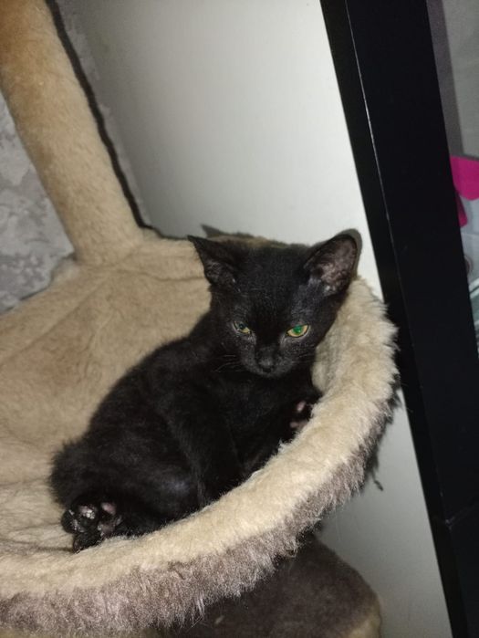 От дам мальчугана в хорошие руки