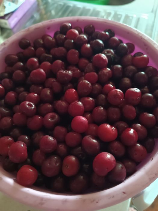 Продам Вишню домашняя