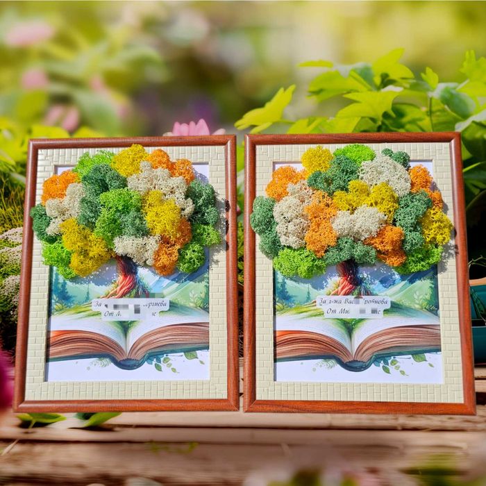 Комплекти за Дипломиране, Пана за учители