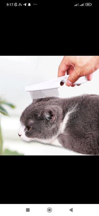 Mushuklar uchun taroq