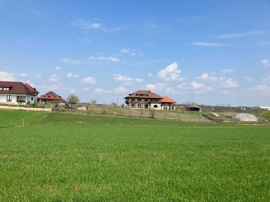 Teren intravilan Balteni, Scrovistea - langa Satul Brancovenesc