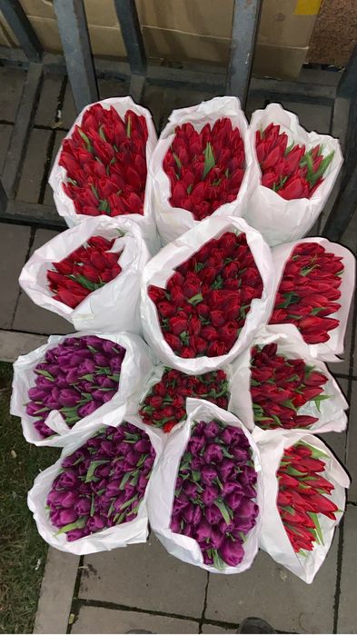 Тюльпаны Алматы цена от 300