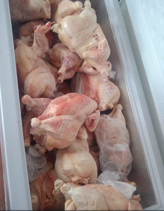 Куры  индейка утки