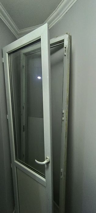 Пластиковое окно и дверь