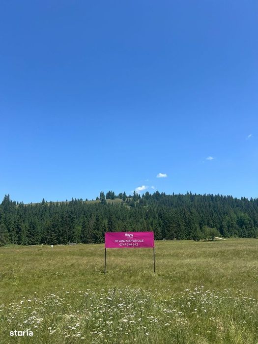 Oportunitate În Inima Naturii-Teren Intravilan, Comandău, Covasna