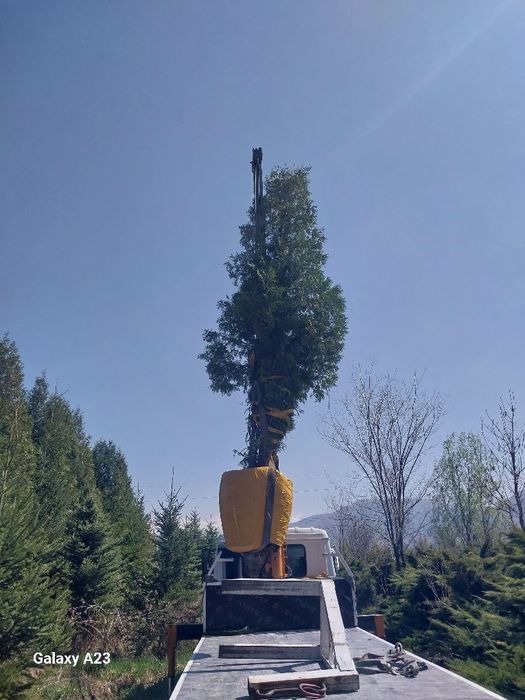 Манипулятор услуги манипулятора кольца