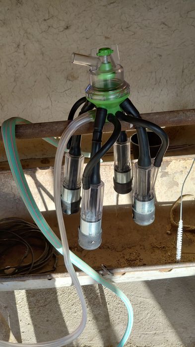 Доильный аппарат Турецкий