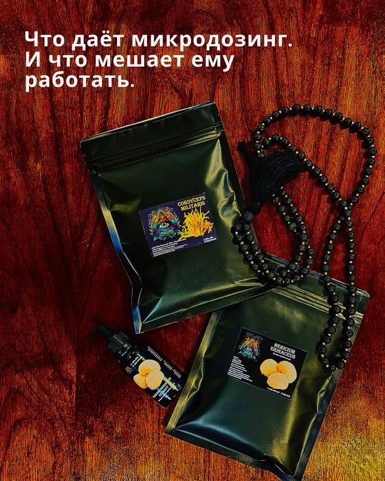 Кордицепс натуральный