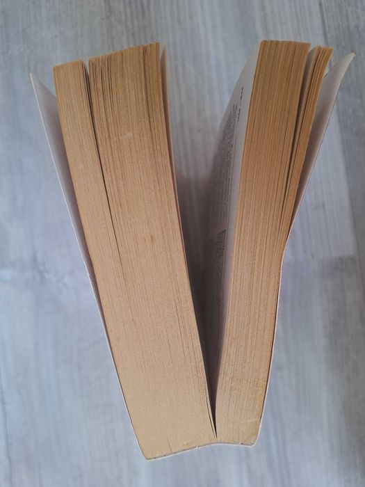 Dictionar roman-francez, francez-roman - Rodica Blaga Chiriacescu