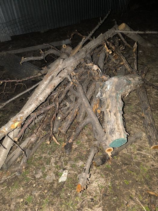 Самовывоз дрова дар