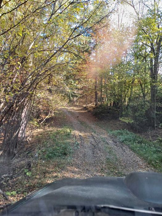 Teren extravilan Câmpu lui Neag(Fețele Topliței)-judetul Hunedoara
