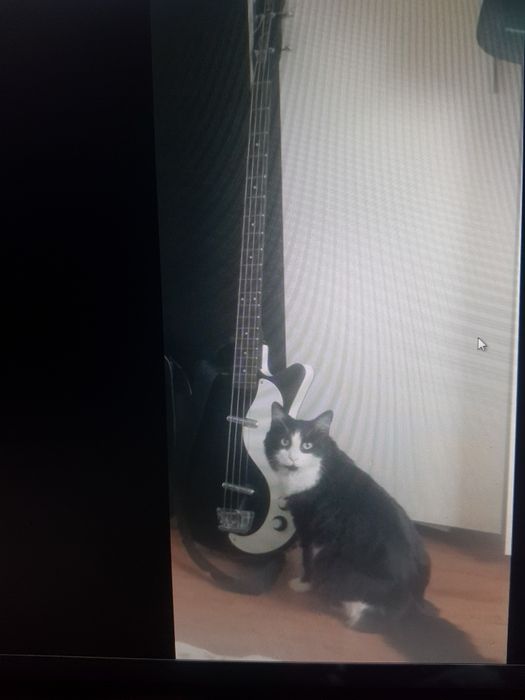 Bass Danelectro DC Longscale Bk