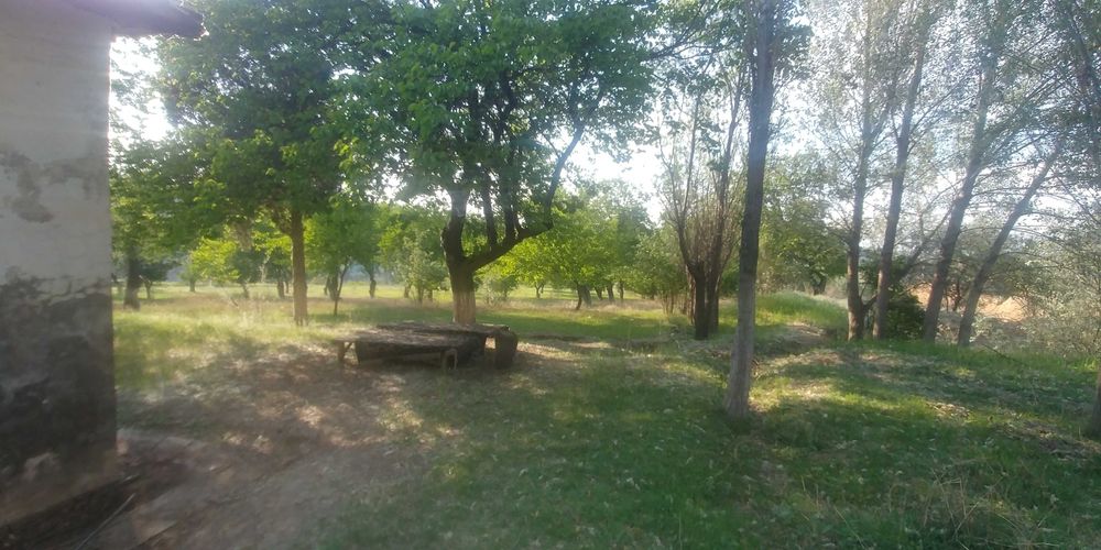 ховли ва нотурар жой  сотилади
