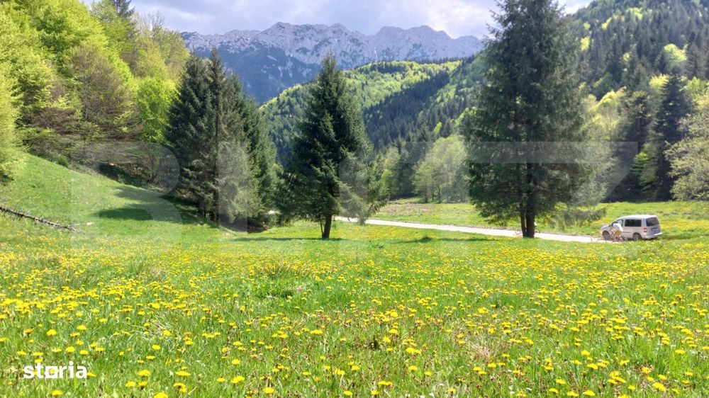 Teren exceptional de vanzare, 5.170 mp - zona Plaiu Foii, Zarnesti