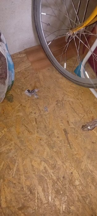 Bicicletă funcțională, 3000 de lei