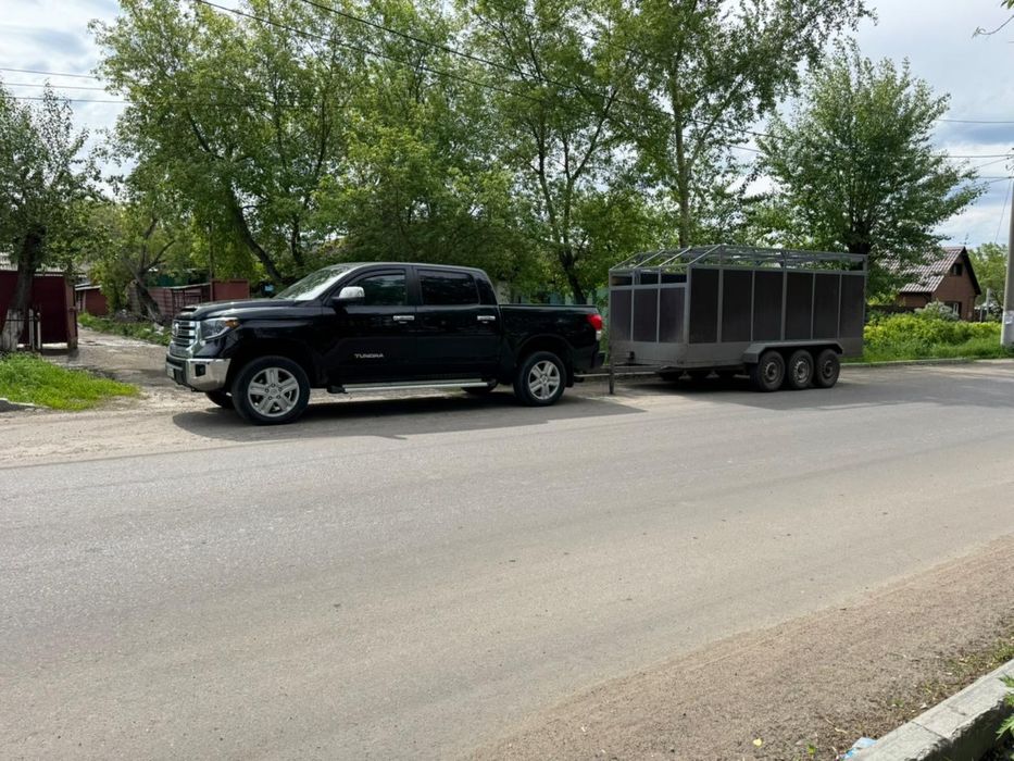 Перевозка скота. 200 тг/км