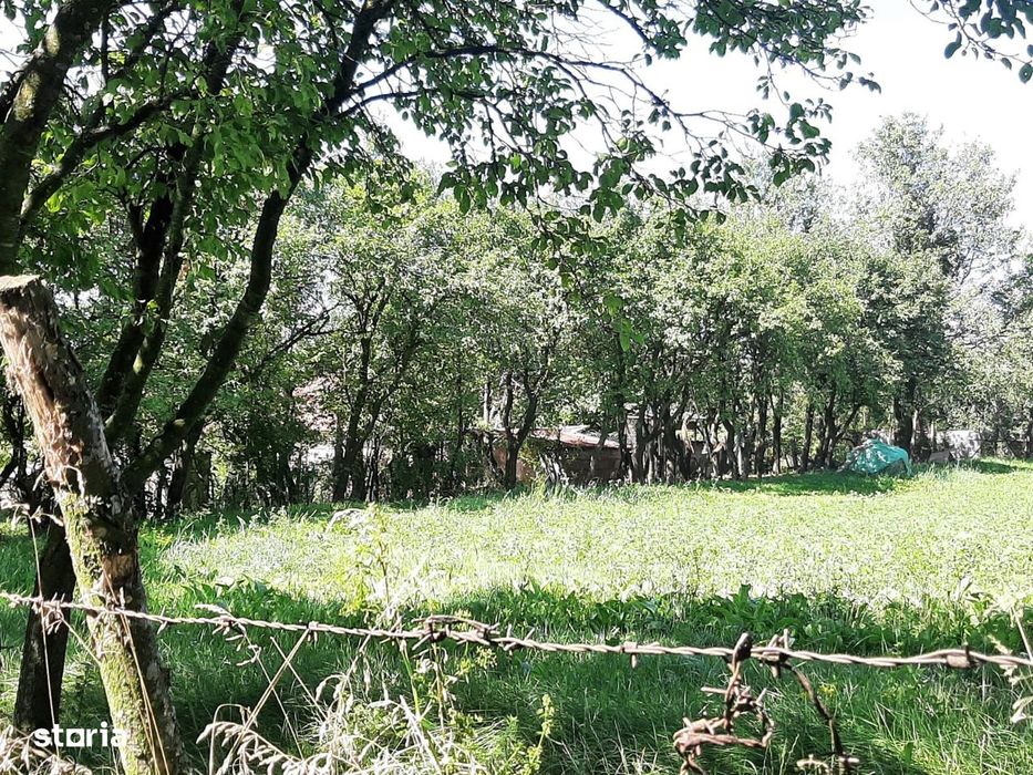 Teren de vanzare in Rediu