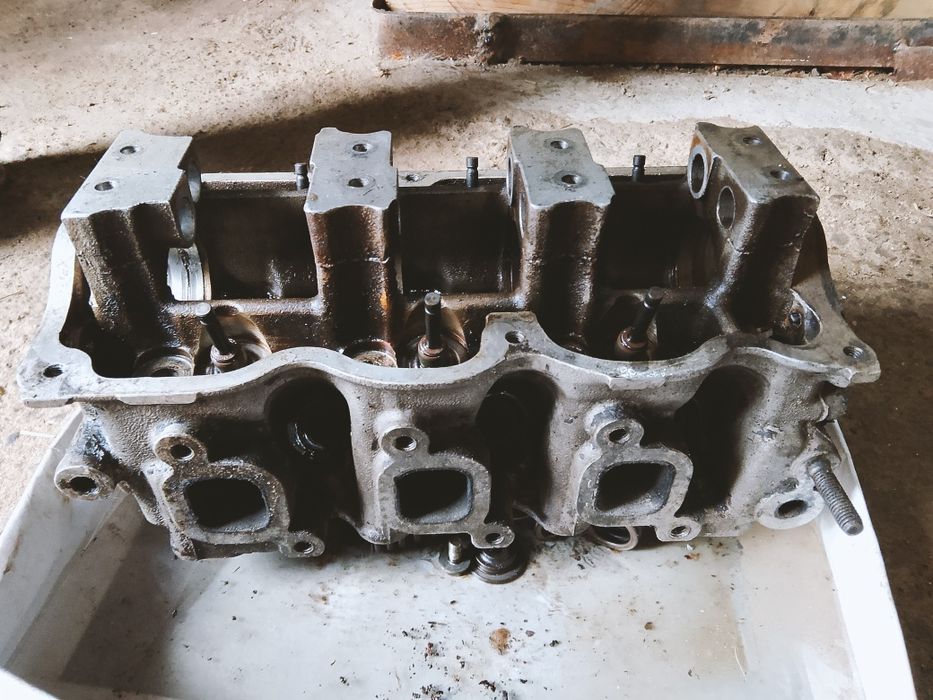 Галовка тико.         .