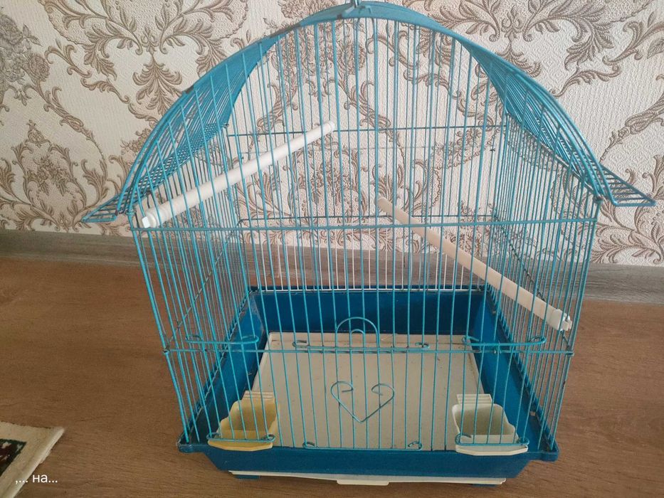 Продам  амадин зебровых с клеткой