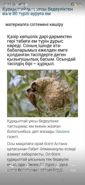 Куркылтай уясы ем ушин