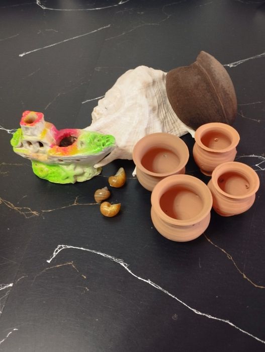 аквариум с инструментами и изолятором