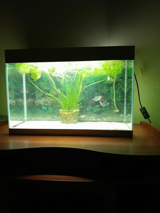 Продам новый аквариум