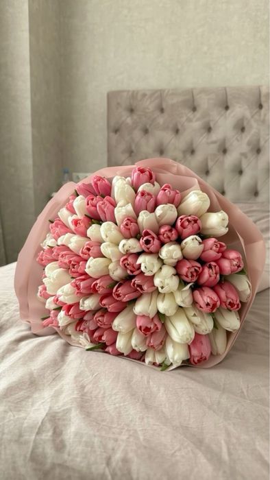 Тюльпаны Алматы 800тг/шт