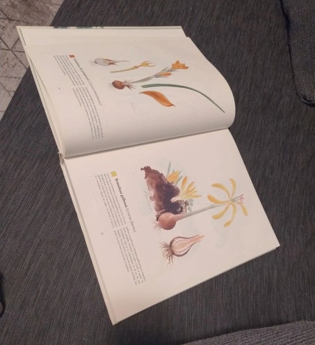 Enciclopedia plantelor