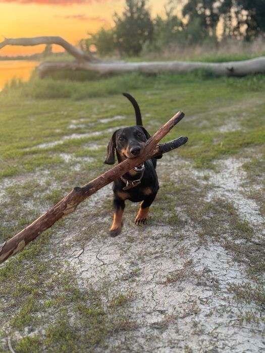 Предлагается для вязки кабель