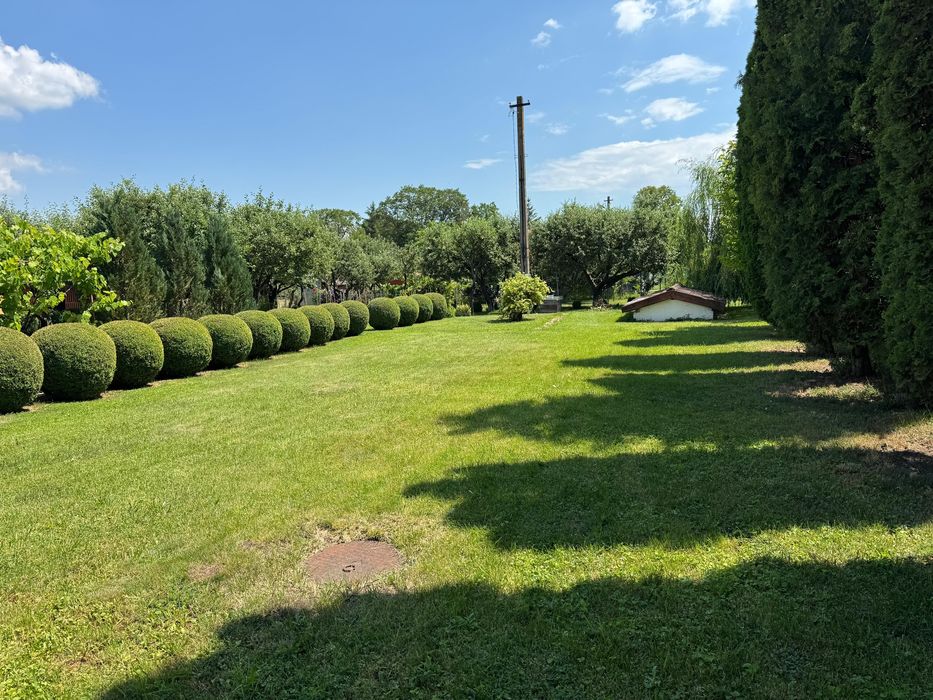 Casa de vanzare Rupea