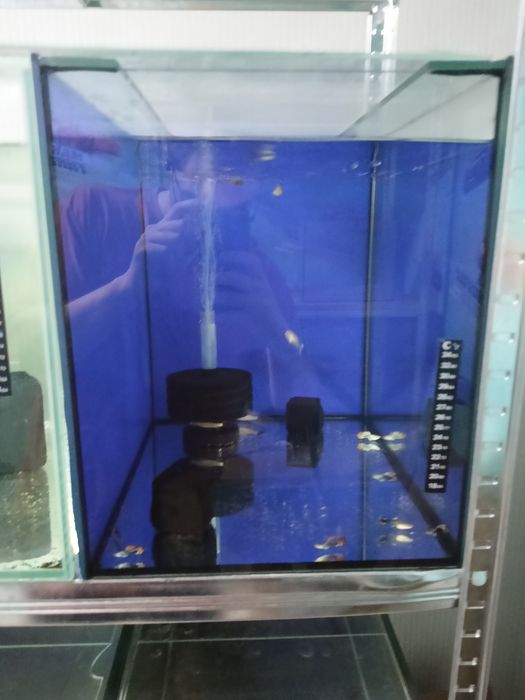 Продам аквариумы