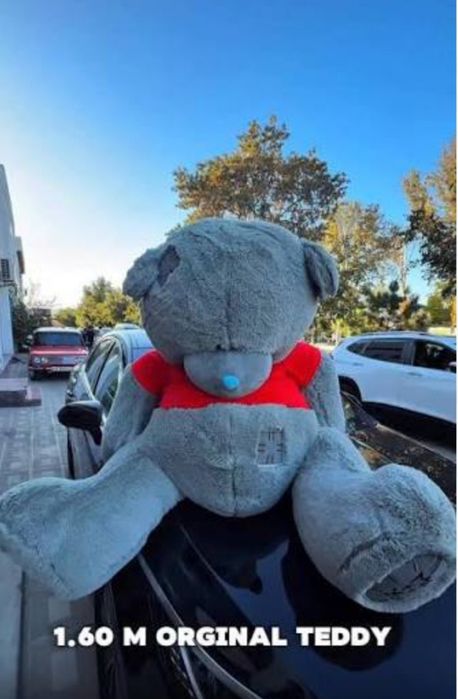 Тедди Teddi Tedi 1oo% (original yumshoq)30sm 3m narxi ozgaradi)