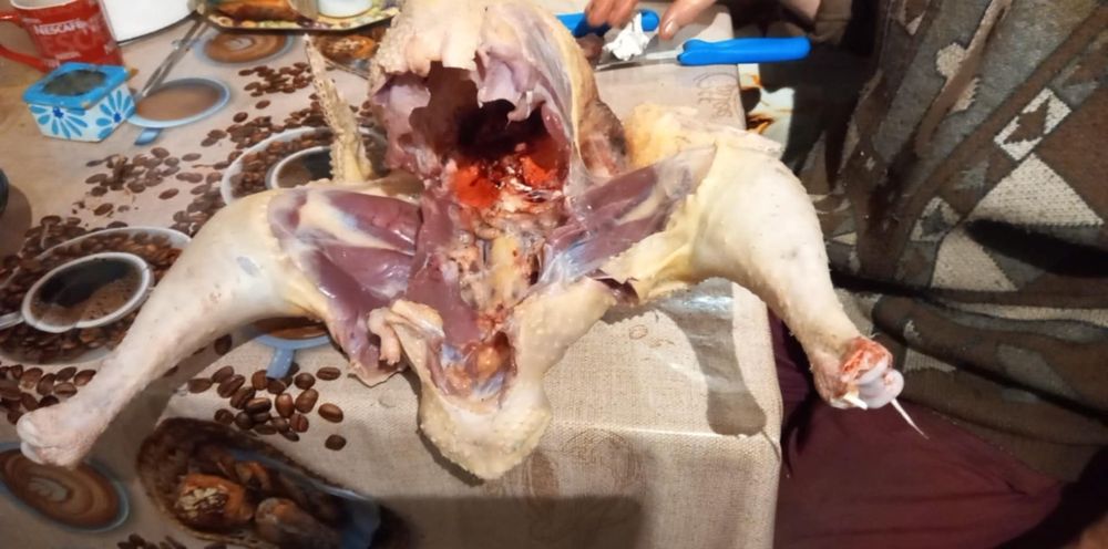 Curcani Bio 100% crescuti doar cu cereale