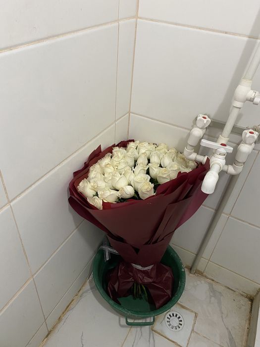 51штук белый роза