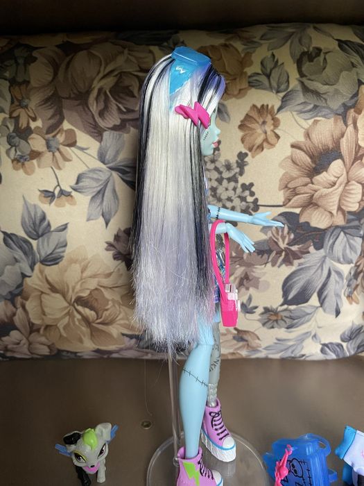 Монстер хай Френки