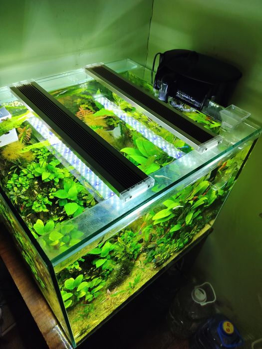 Продам аквариум травник.