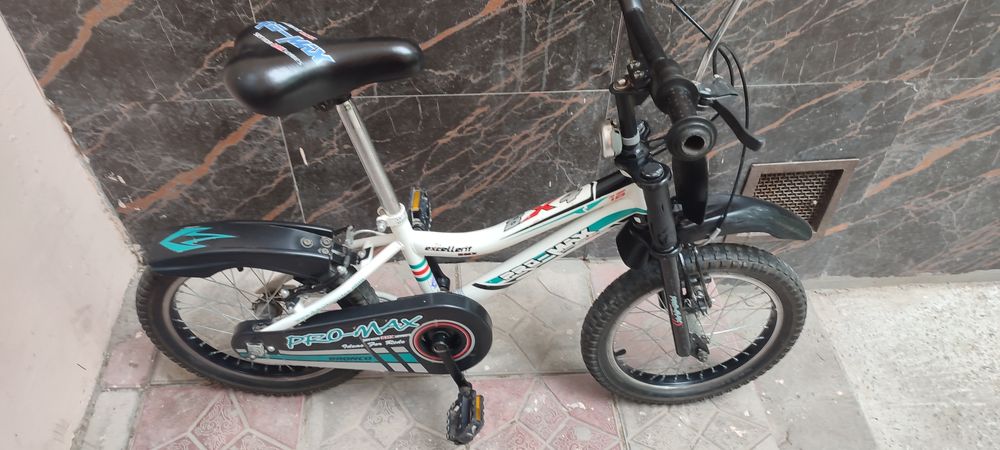 Велосипед PRO MAX производства Дубай