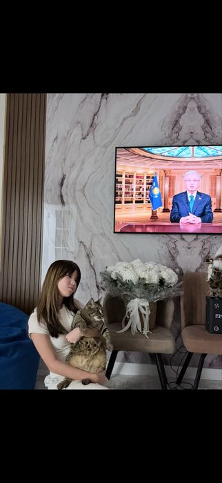 Кошка Бенгал два года