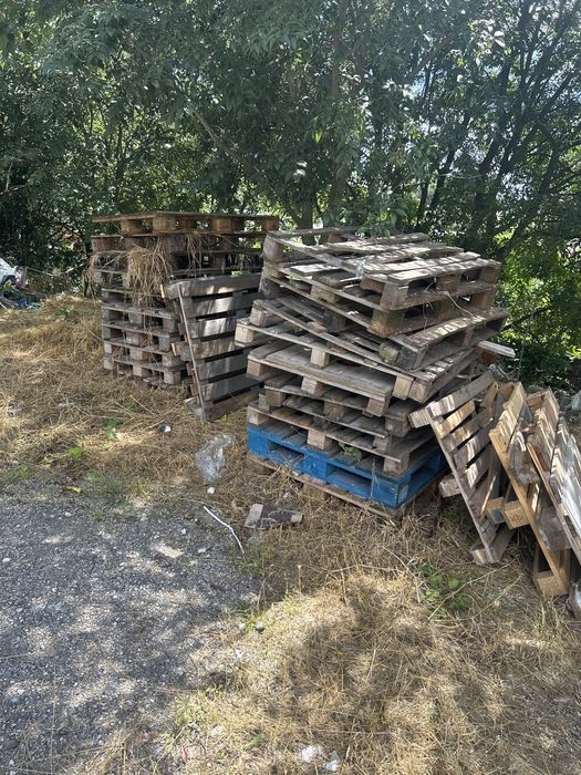 Продавам скари 1 евро