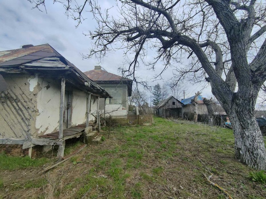 Casă cu livadă, viță de vie și teren arabil Mogoșești Olt