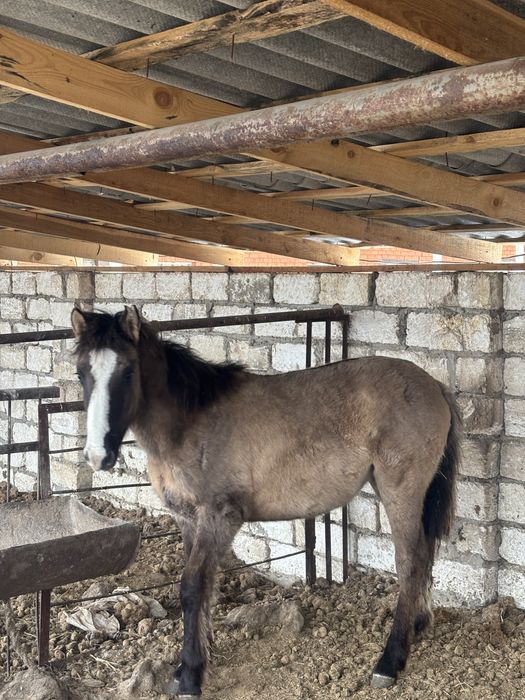 Срочно продам мз