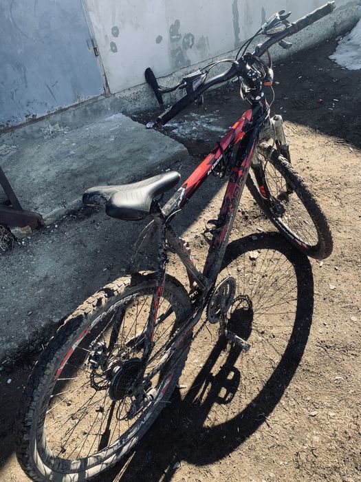 Вилеспоед сатылат айфон екеуы