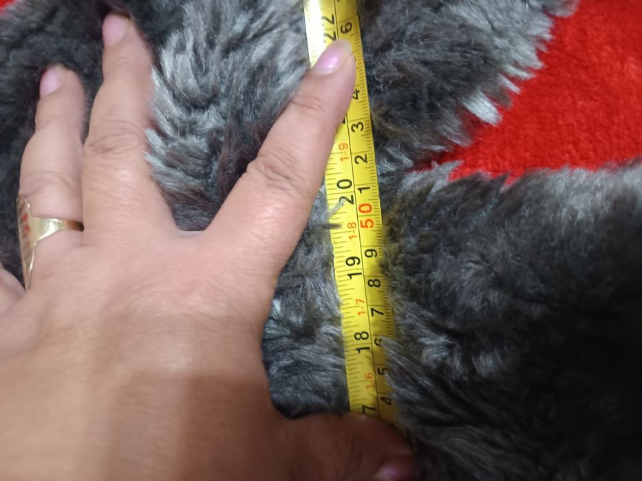 Blăniță scurta femei