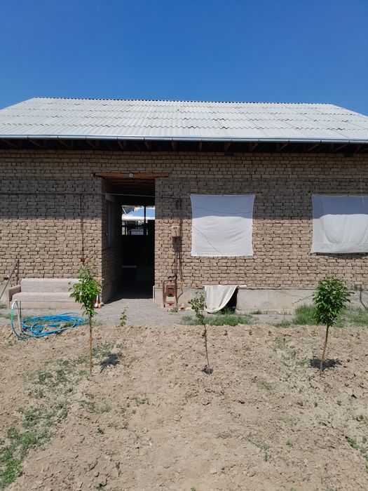 Uy sotelade zangiota buzsuv