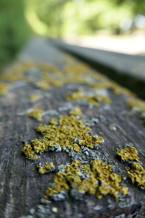 Panasonic Lumix TZ101