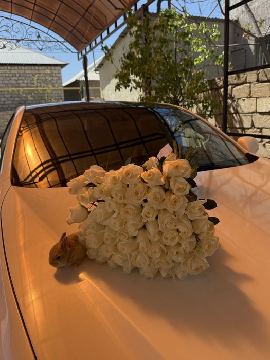 51штук белые розы 18000