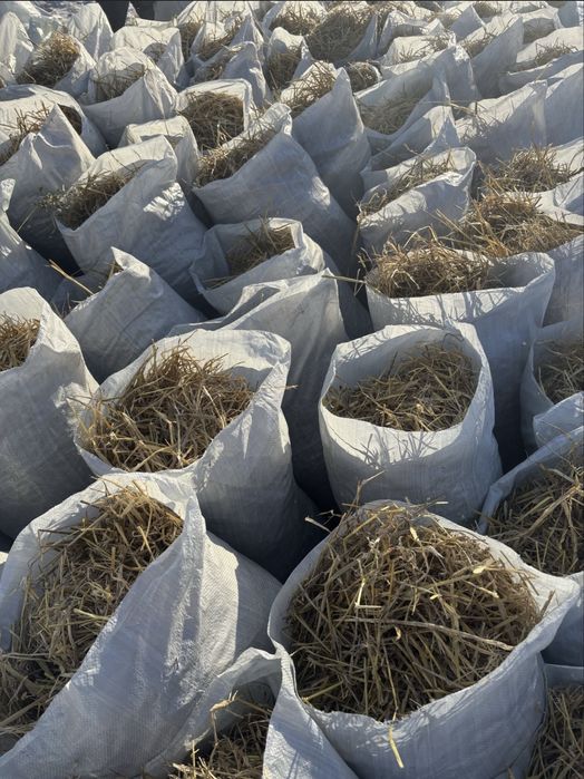 Солома для растений